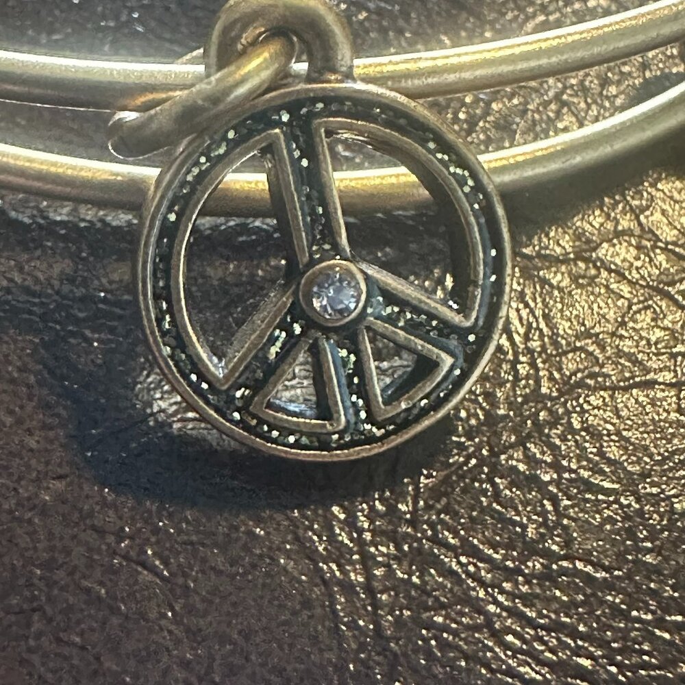 Alex and Ani Peace Charm Bangle